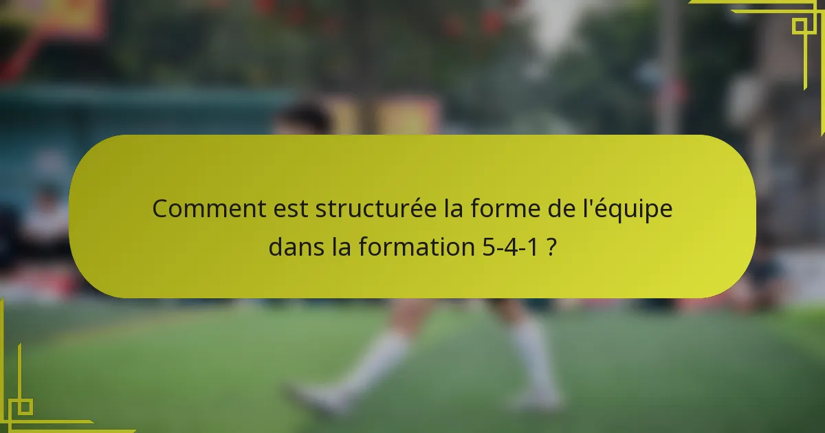 Comment est structurée la forme de l'équipe dans la formation 5-4-1 ?