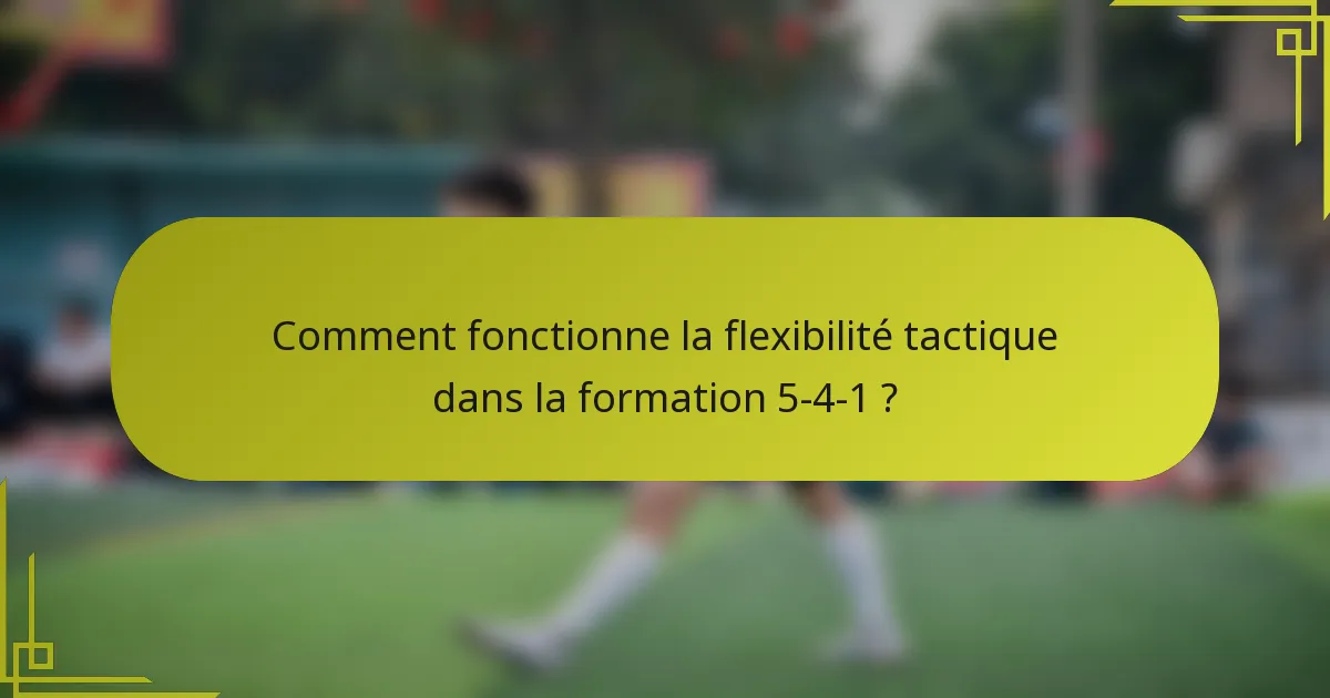 Comment fonctionne la flexibilité tactique dans la formation 5-4-1 ?